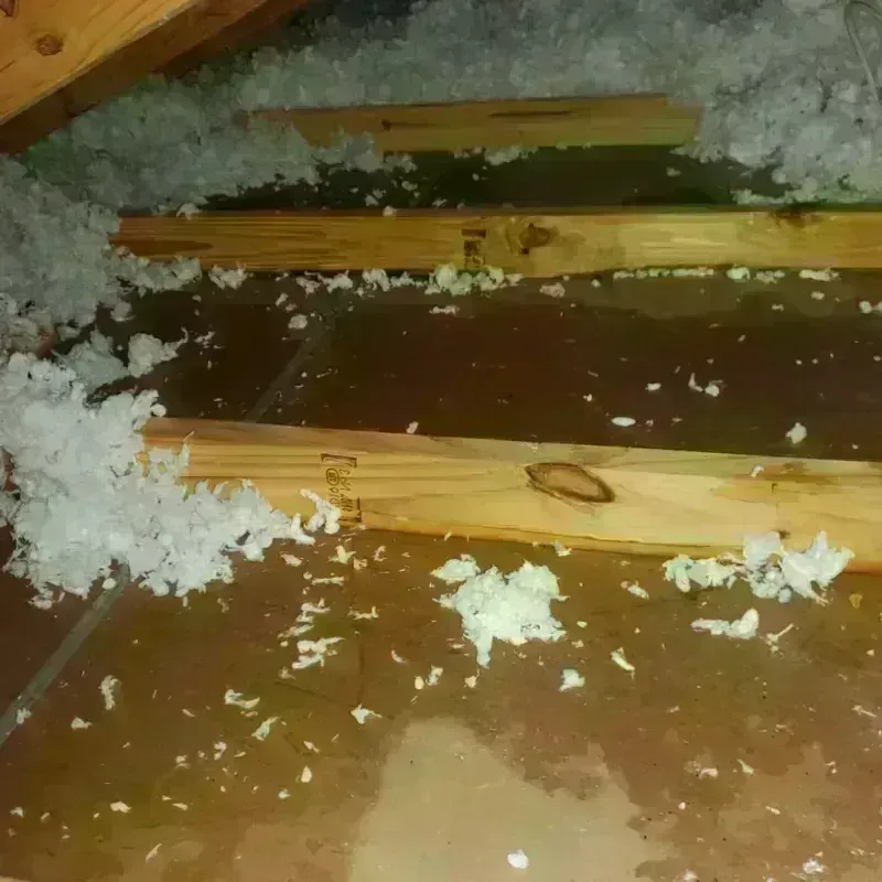 Attic Water Damage in Banner Hill, TN